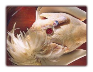 Poularde de Bresse