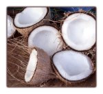 coco1 Test conso coco