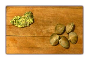 Beurre d'herbes et palourdes
