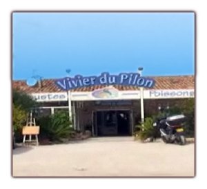 vivier_pilon