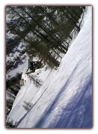 Ma cabane au fonds des bois