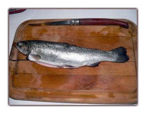 truite_entiere1 C'est la saison !