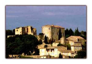 Merveilleux château de Venejan