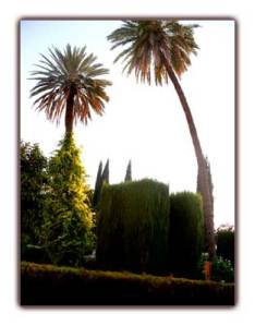 Salle du petit déjeuner