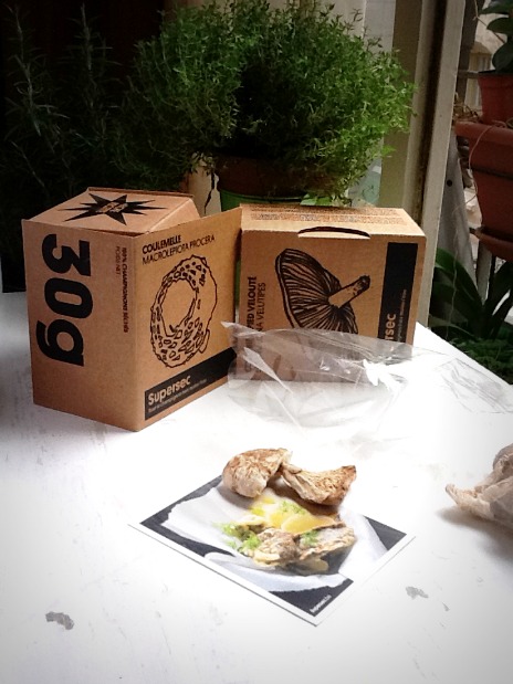 Coulemelles séchées