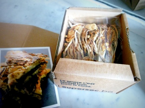 Collybies à pieds veloutés