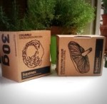 Champignons séchés Supersec