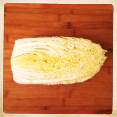 Chou chinois, futur Kimchi