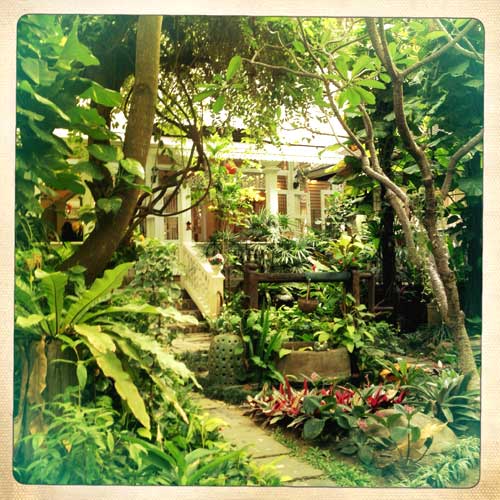 Le jardin - salon de thé du Siam Céladon