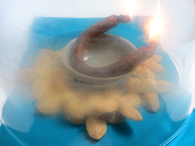 Bougie pour fumer les desserts